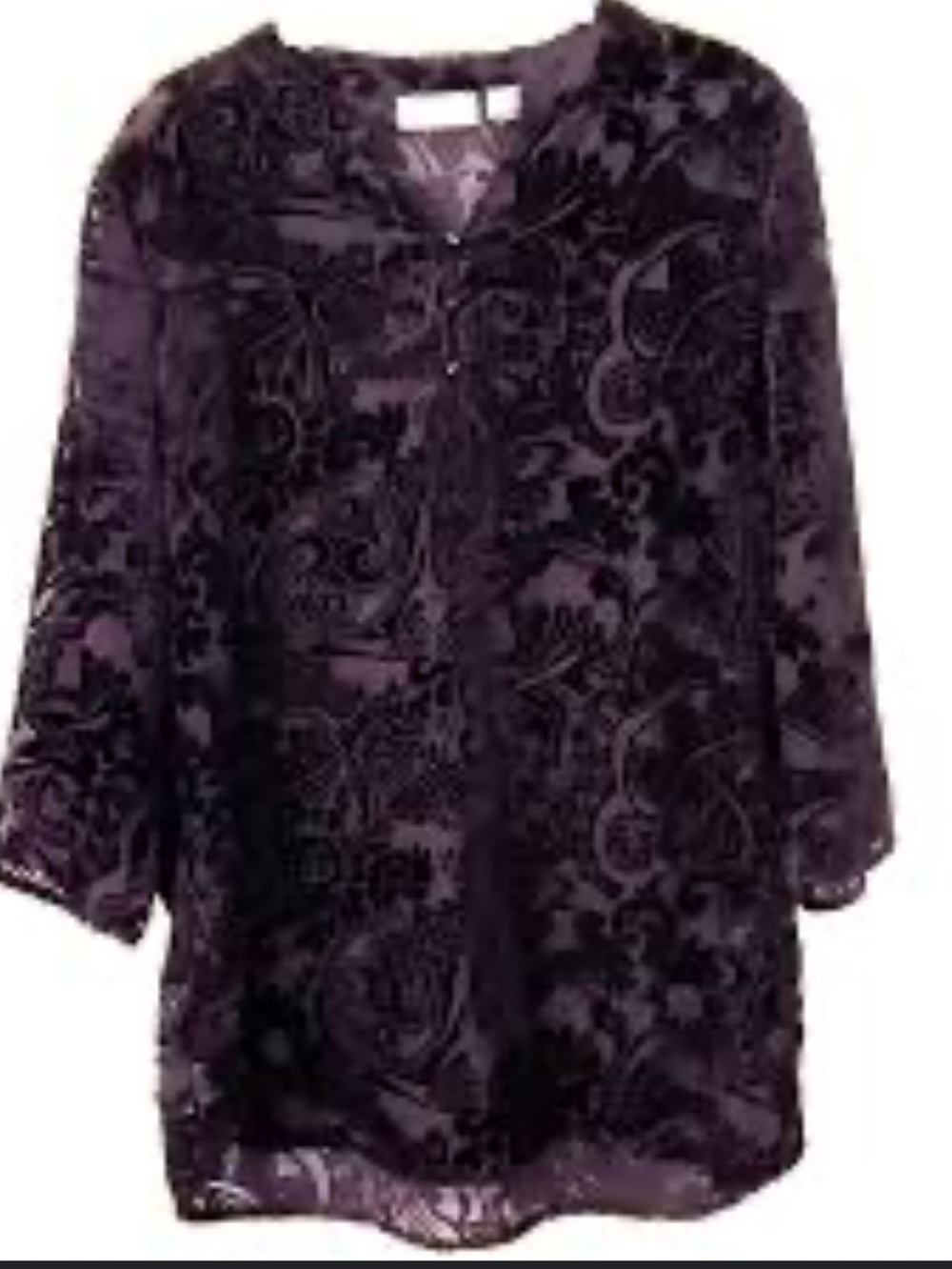 Chico's Velvet Burnout V-Neck Blouse in Black Plum